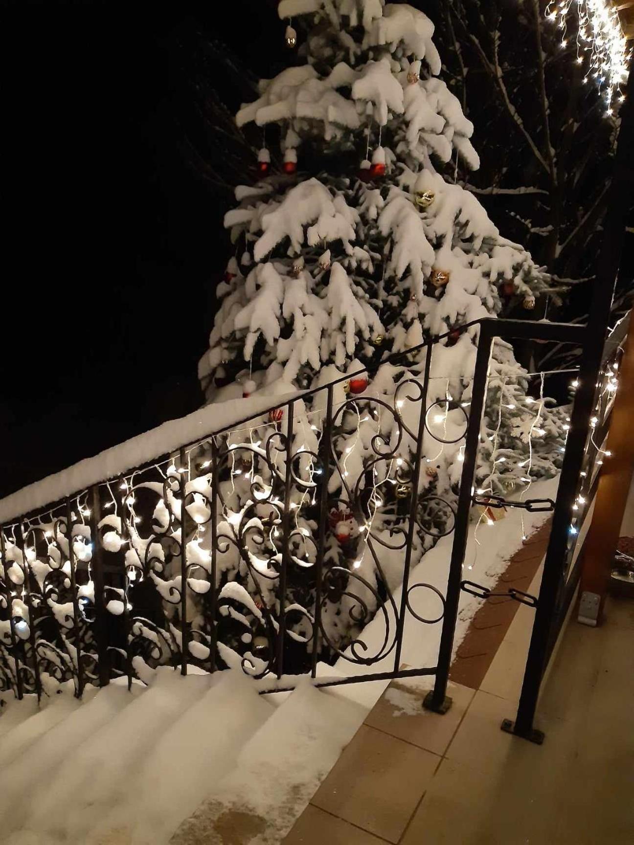 Panzio Anett Bed & Breakfast Pietroasa  Bagian luar foto
