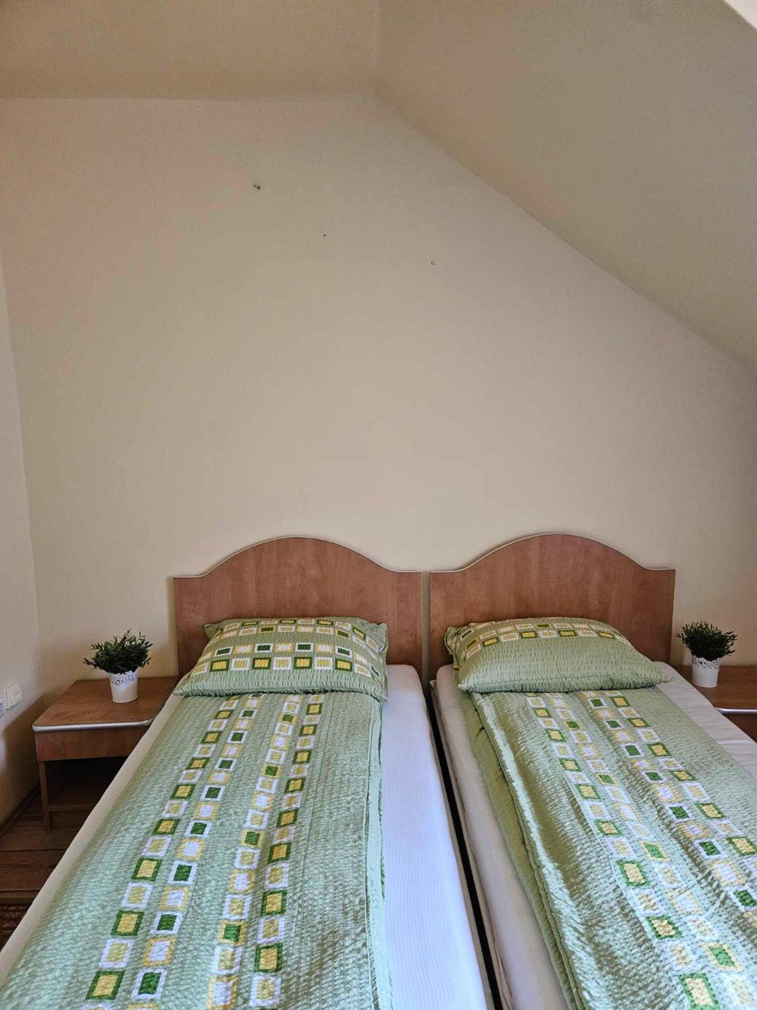 Panzio Anett Bed & Breakfast Pietroasa  Bagian luar foto