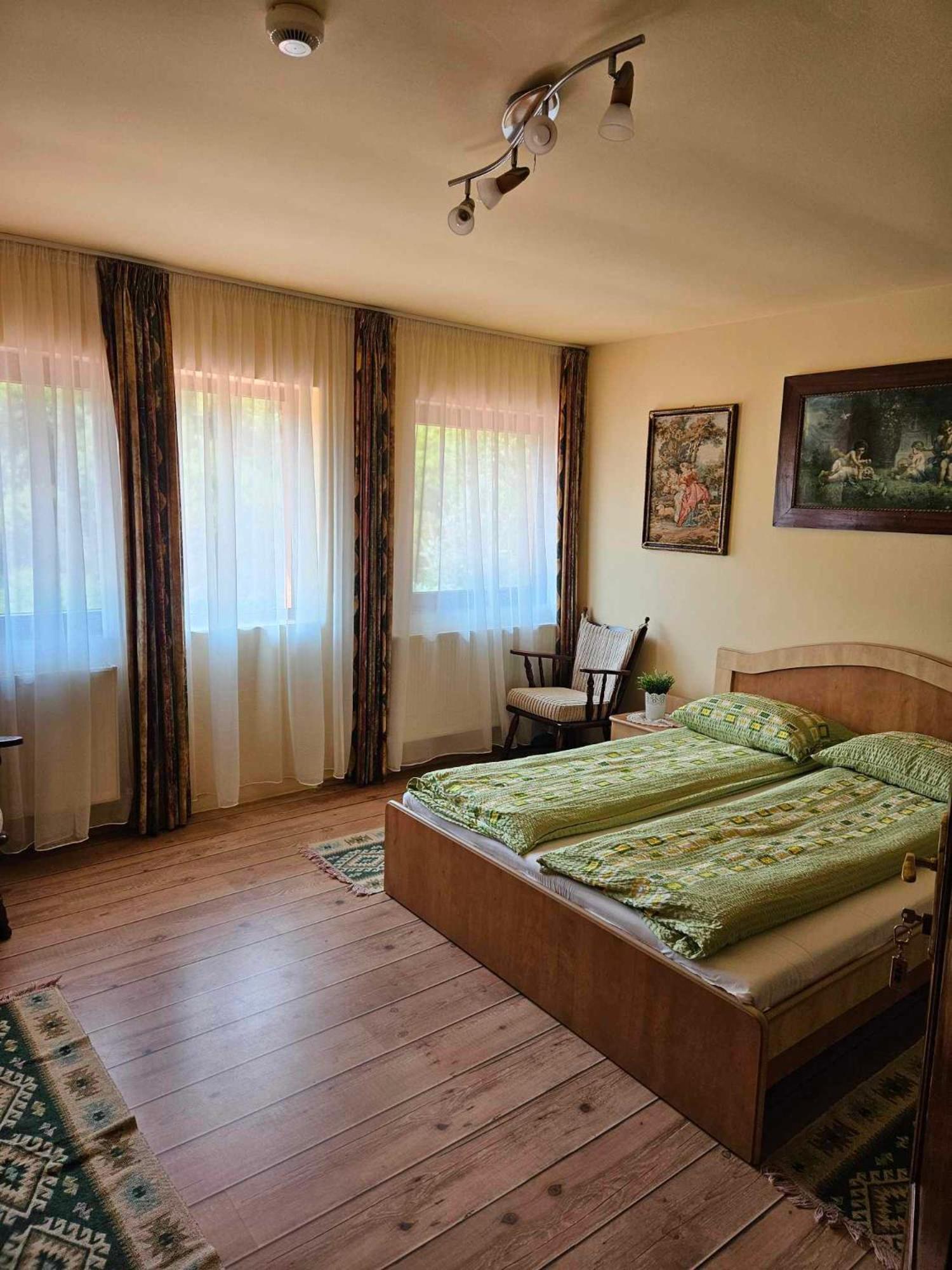 Panzio Anett Bed & Breakfast Pietroasa  Bagian luar foto