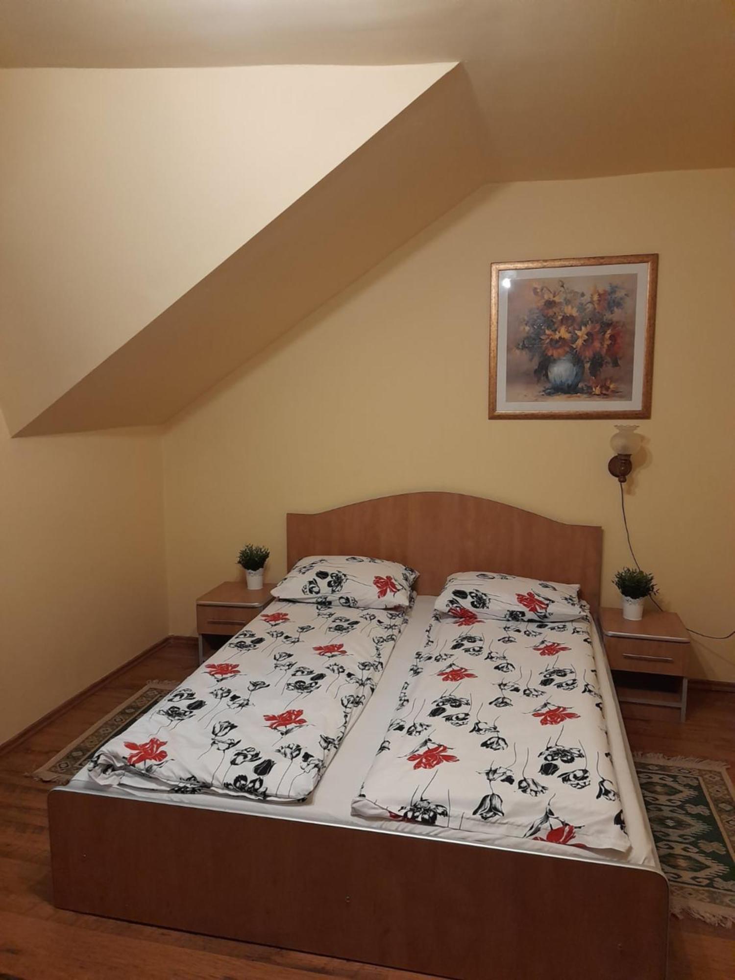 Panzio Anett Bed & Breakfast Pietroasa  Bagian luar foto